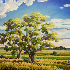 Live Auction: “Mayfield Cottonwood,” 36 x 36, acrylic on canvas by Kristin Goering. Value: $3,200.