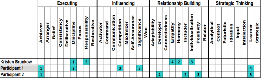 StrengthsFinder: Harness your individual strengths at workshop