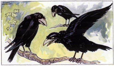 Crows, in some way, talk to other crows about what has happened to them. 