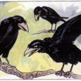 Crows, in some way, talk to other crows about what has happened to them. 