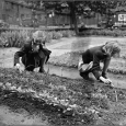 Stock photo of 1940s Victory Garden.