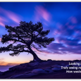 Seeing Beyond
